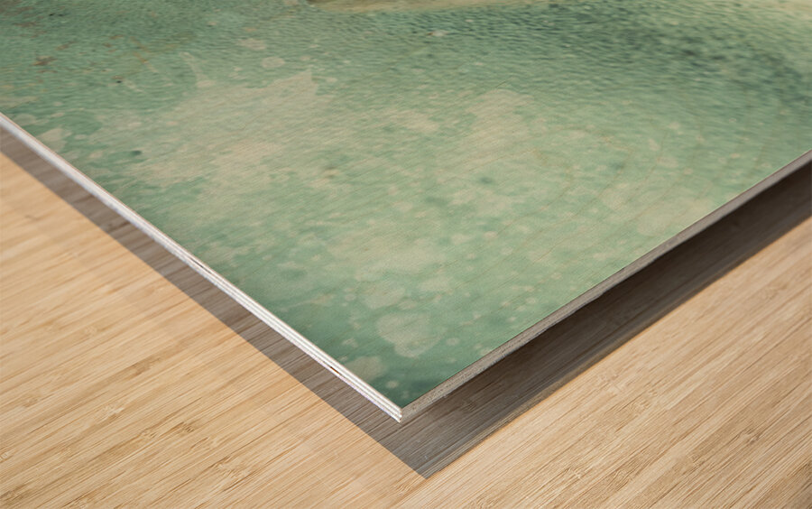 Cryonics awakening Wood print