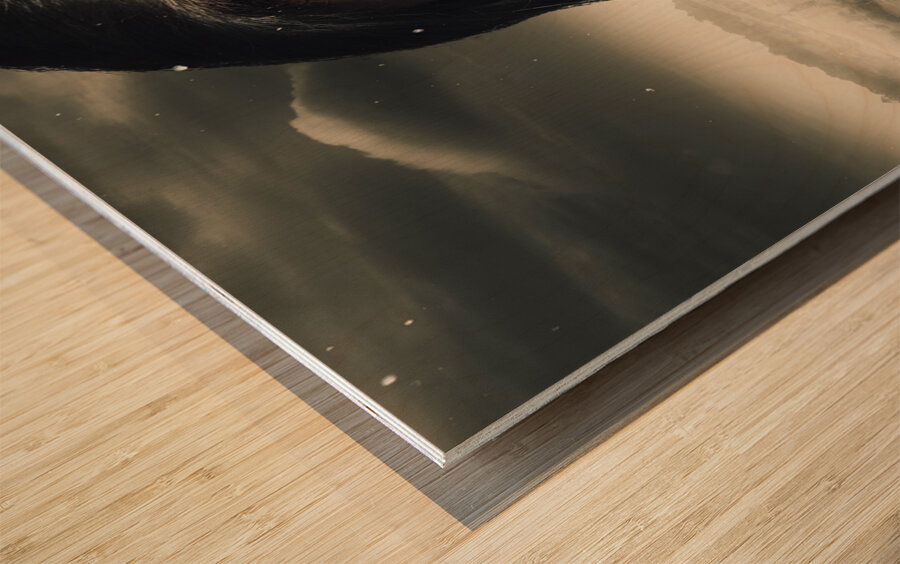 Grim face of horror crying tears of blood Wood print