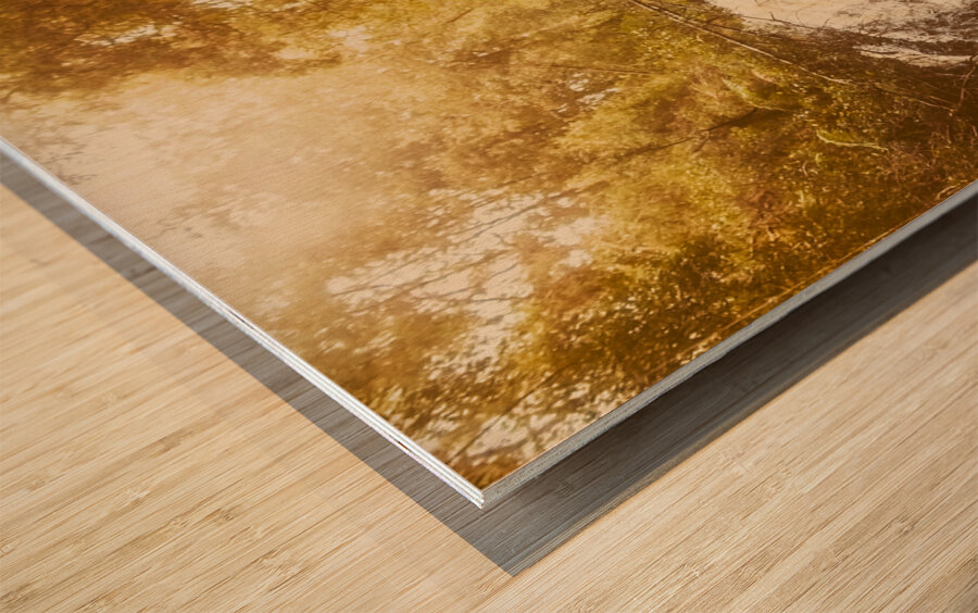 Wonder Fall Wood print