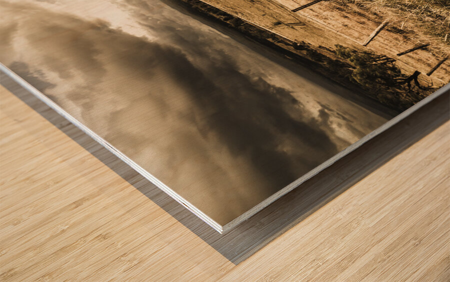 Holiday in Tasmania Wood print