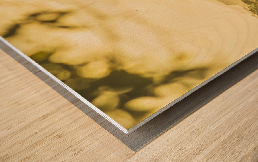 River Vista views Wood print