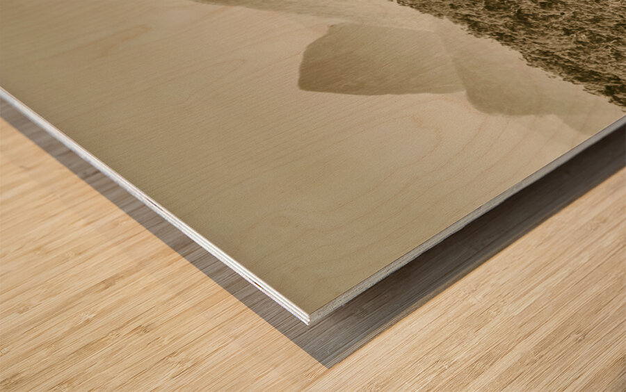 Glass House Mountains Wood print