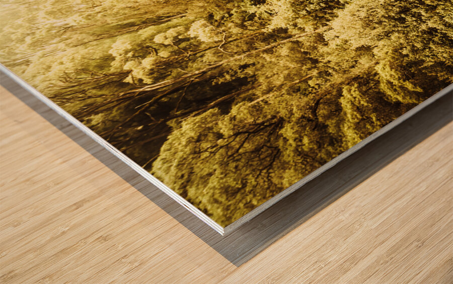 Canopy crossing Wood print