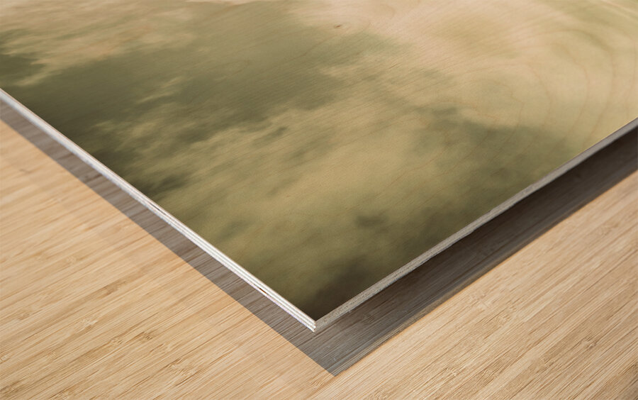 Farmland lane Wood print