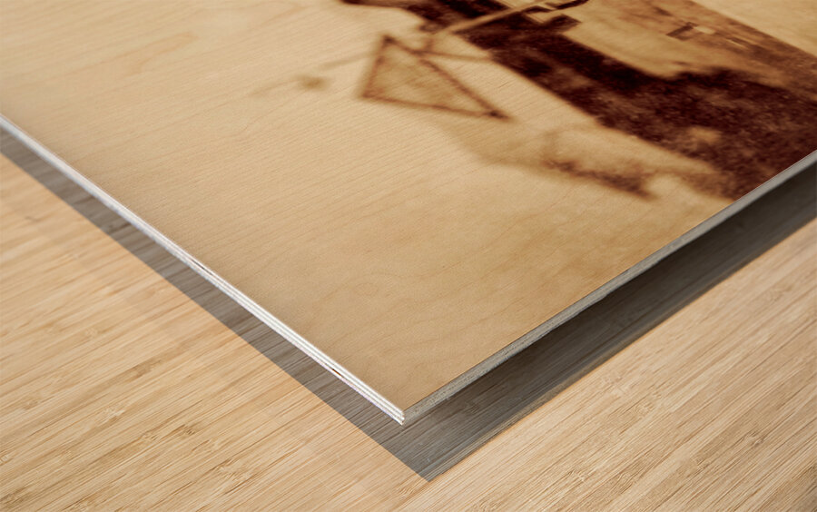 Natures pecking order Wood print