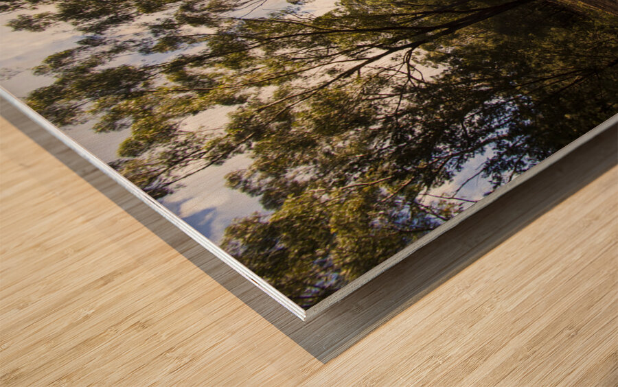 Forestry road landscape Wood print