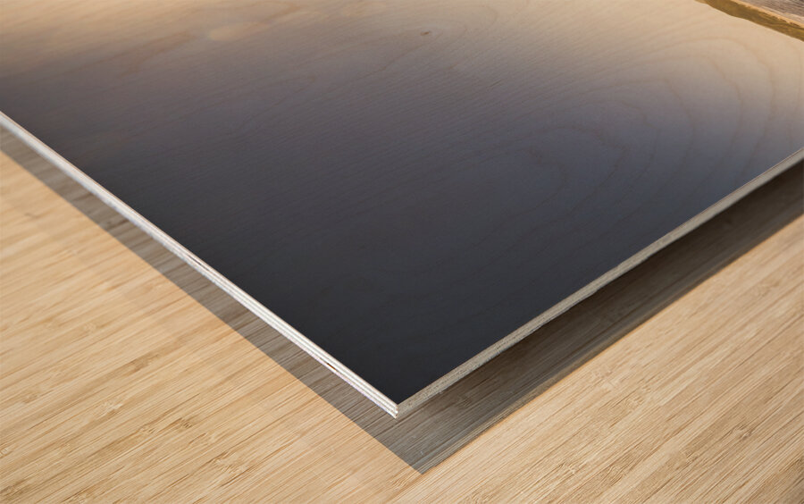 Arthur River Tasmania Wood print