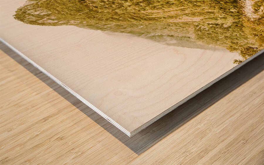 Edge of Wilderness Wood print