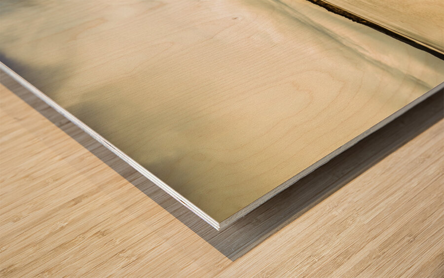 Beach panorama of a sunrise over the sea Wood print