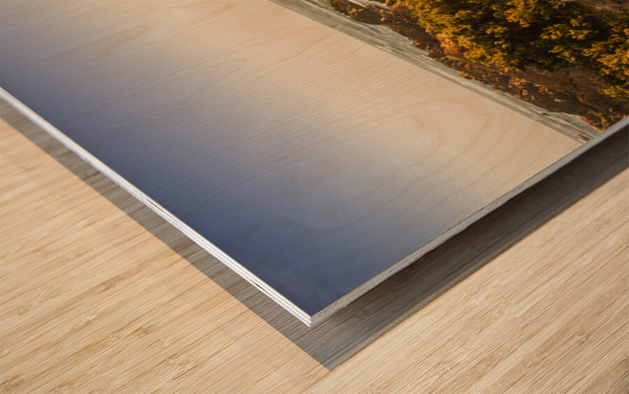 Sunlit Seaside Wood print