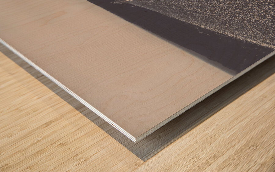 Straight up motor racing Wood print