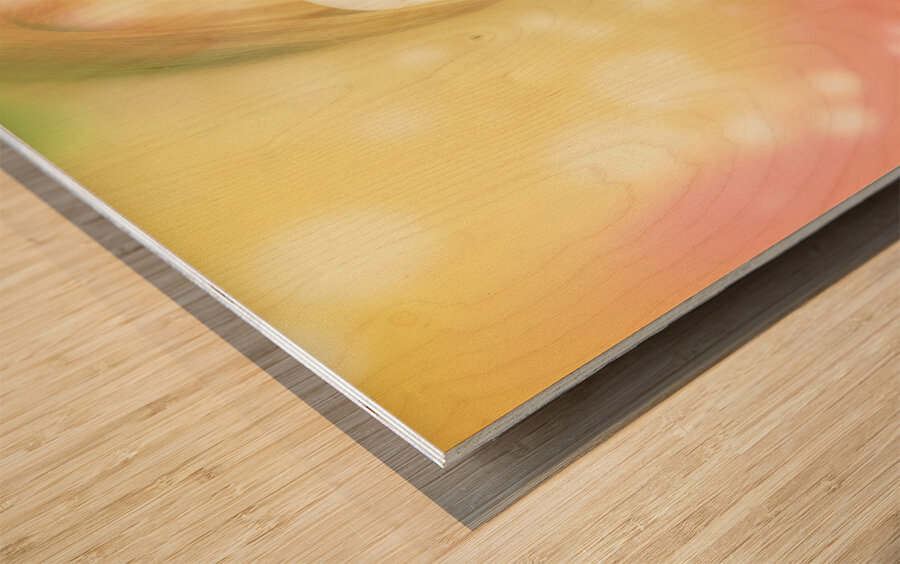 Pinup beauty in excited fashion abstract  Wood print