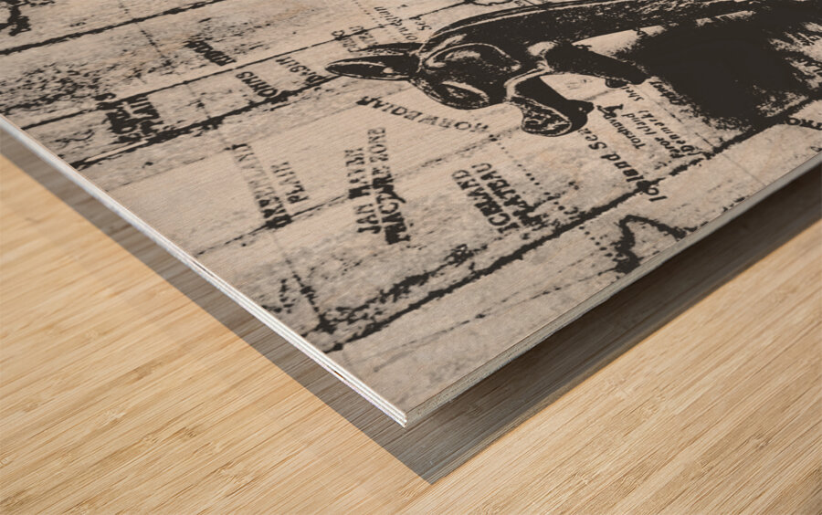 Warrior waterways Wood print