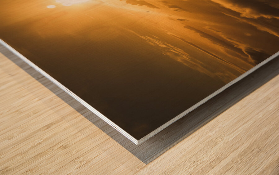 Golden glow Wood print