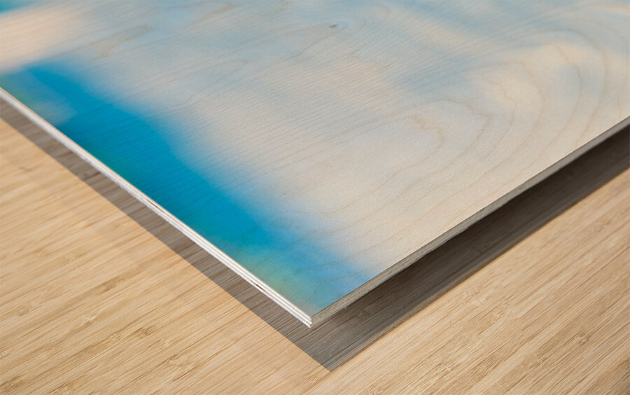 Summer Party Wood print