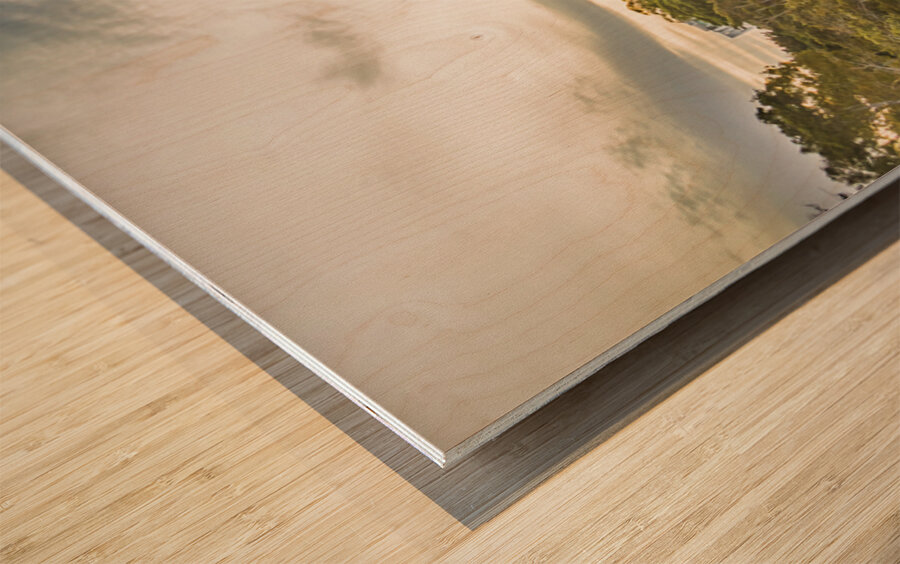 Brisbane River Panorama Wood print