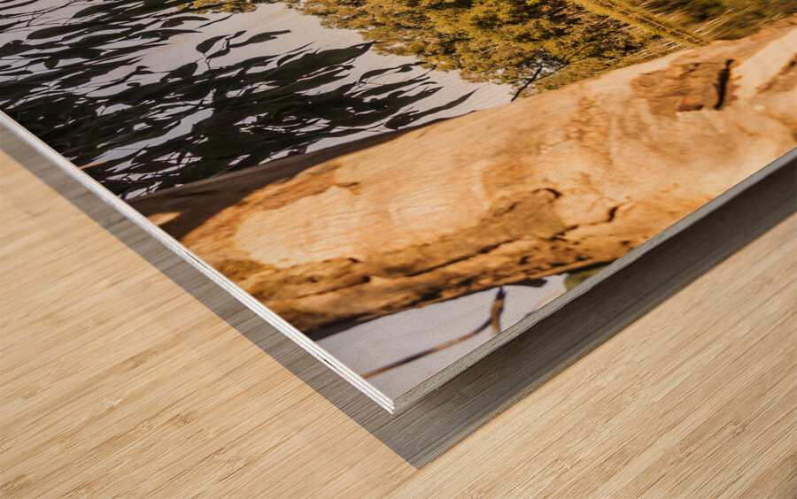 Lake wonders Wood print