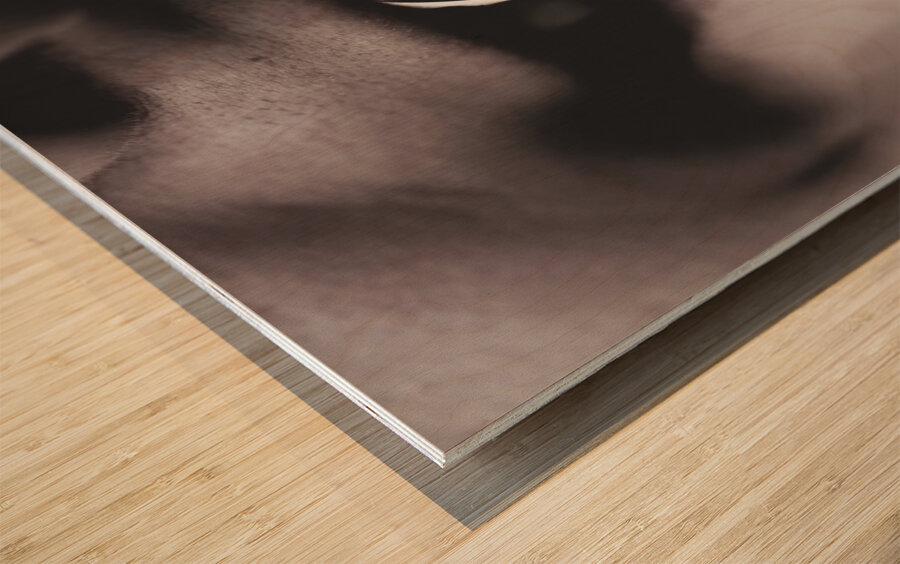 Jukebox DJ holding vinyl soda bottle lid in mouth Wood print