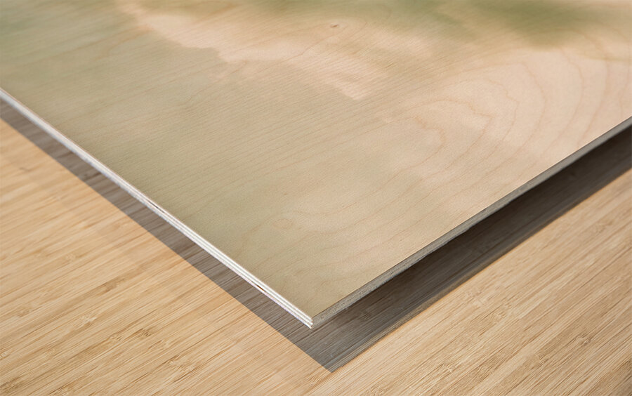 Temperate alpine terrain Wood print