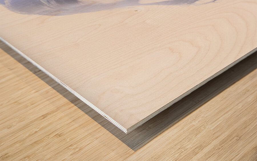 Vogue Style Woman With Beautiful Bright Makeup Wood print