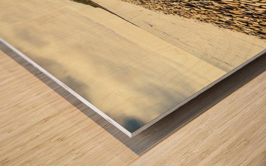 Australian rocky shoreline Wood print