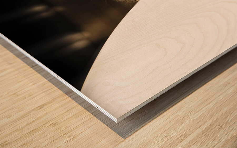 Water Sport Woman Wood print