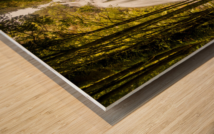 Tasmanian Waterfalls Wood print