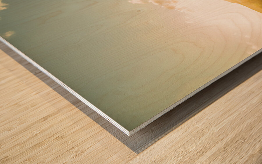 Last light lane Wood print