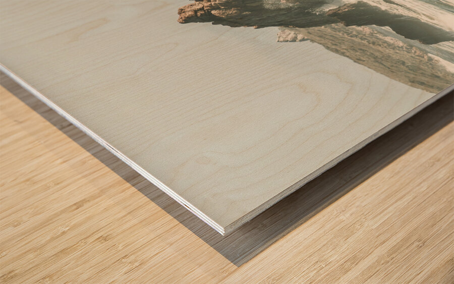 Aquatic spray Wood print