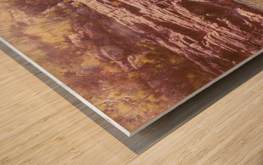 Dreamtime scene Wood print