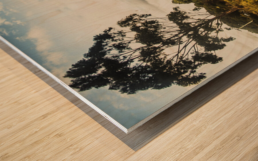 Rural abandoned shed in old rural countryside Wood print