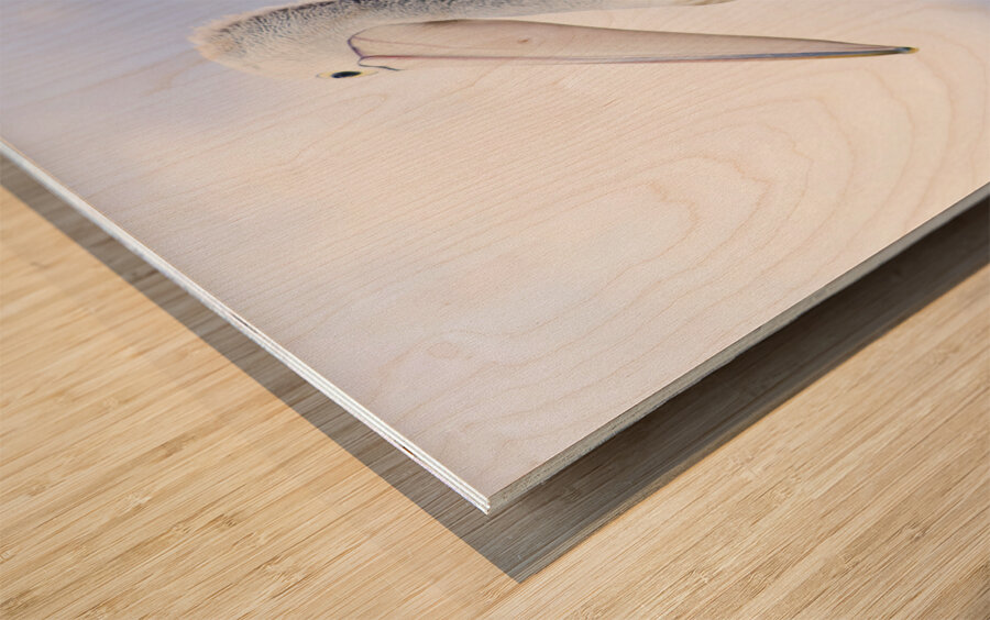 Looking To The Future Wood print