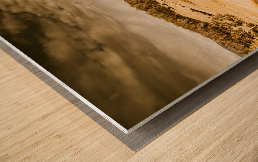 Fields of Jericho Wood print