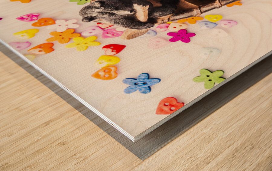 Bears boats and buttons Wood print