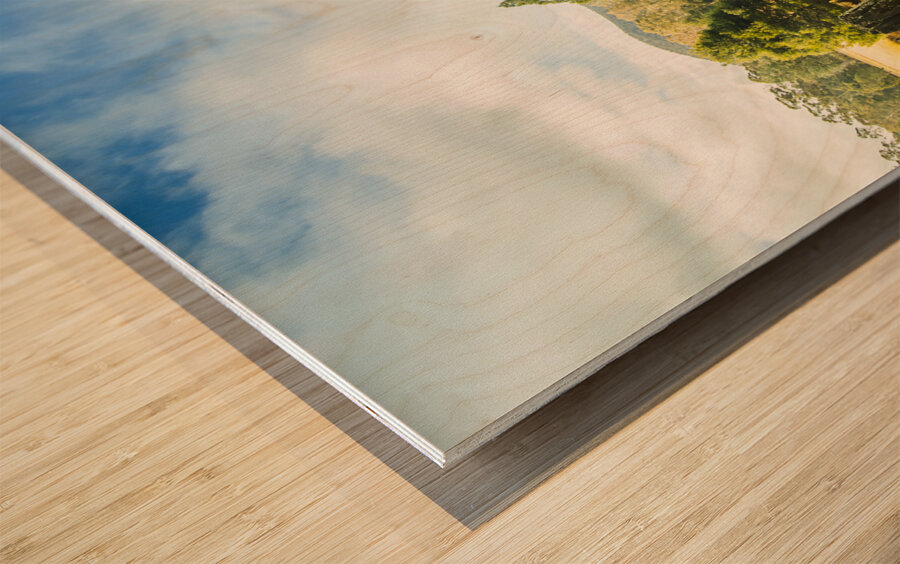 Bright and colourful forest Wood print