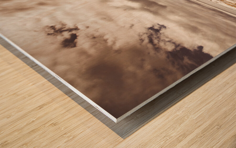 Pathways to seaside paradise Wood print