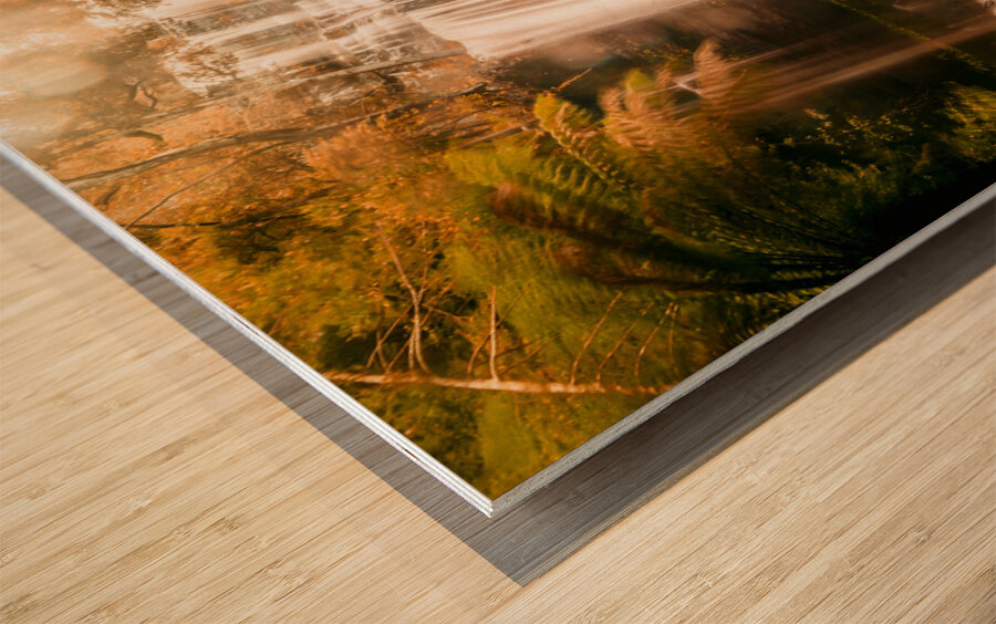 Fall of autumn  Wood print