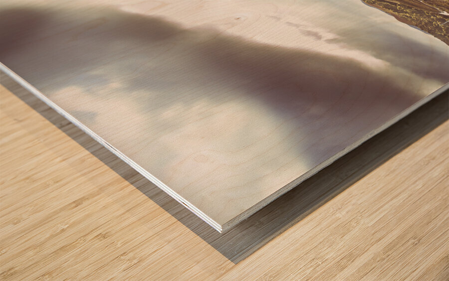 Afternoon pastures  Wood print