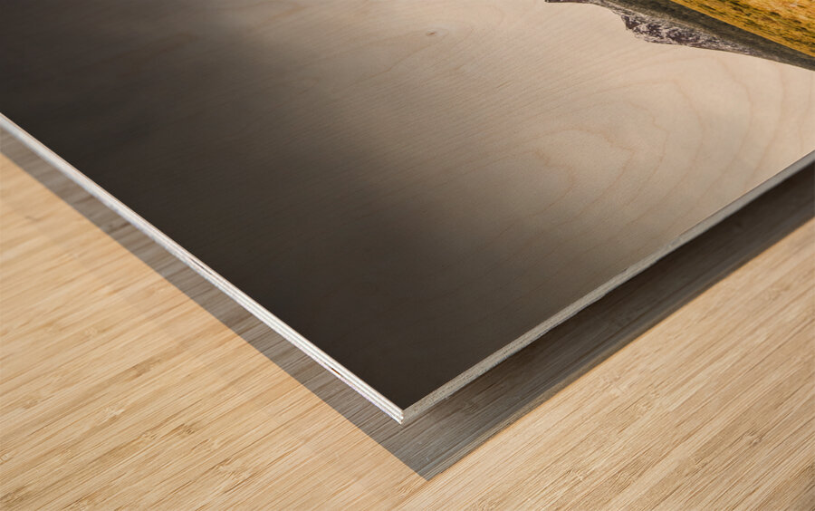 Snowy Tasmania mountain top Wood print