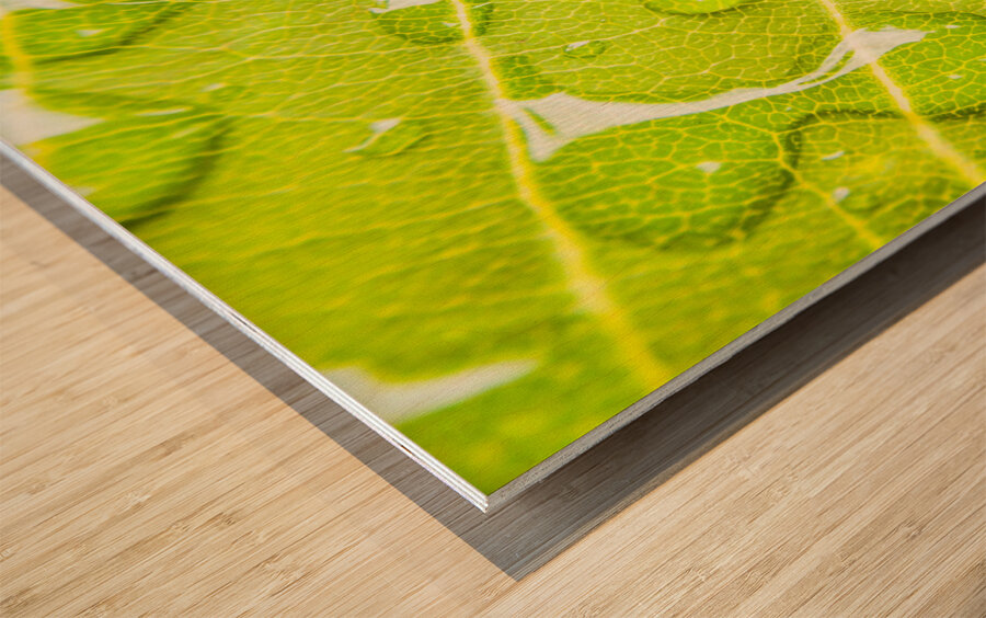 Summer rain Wood print