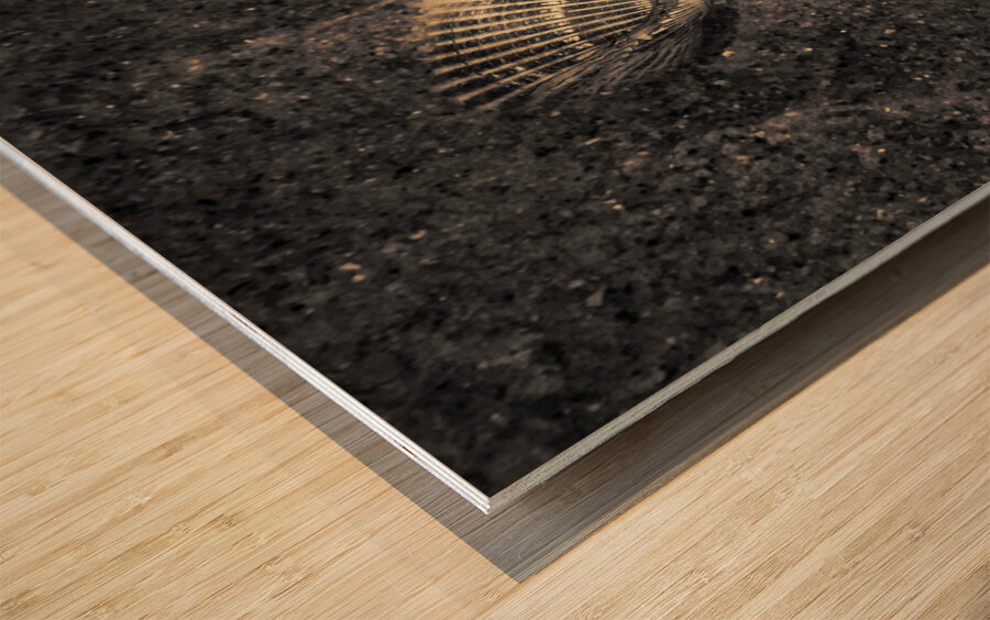 Ocean Rush Wood print