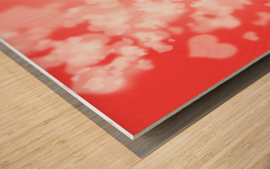 Photographer woman with camera. Photography love Wood print