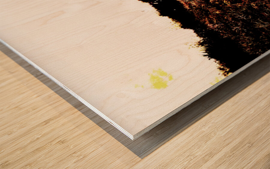 Retro Surfers Illustration Wood print