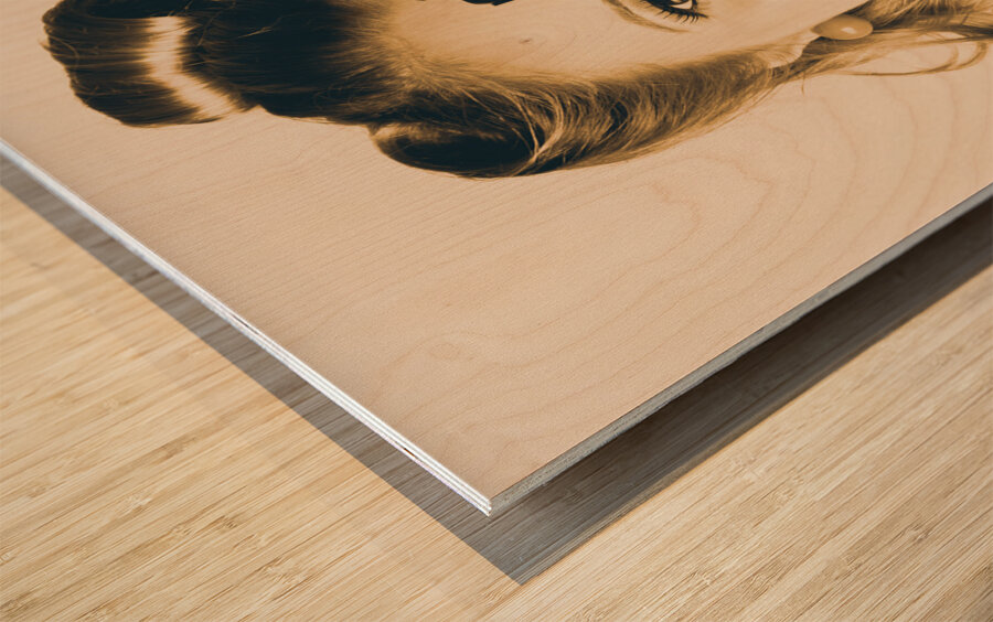 Female Fashion Photographer Taking People Pictures Wood print