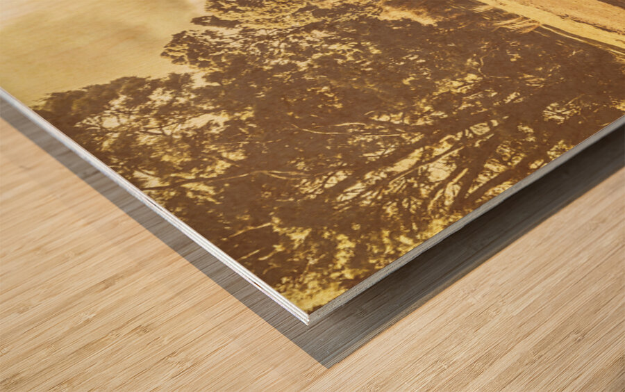 Rural Australia panorama Wood print