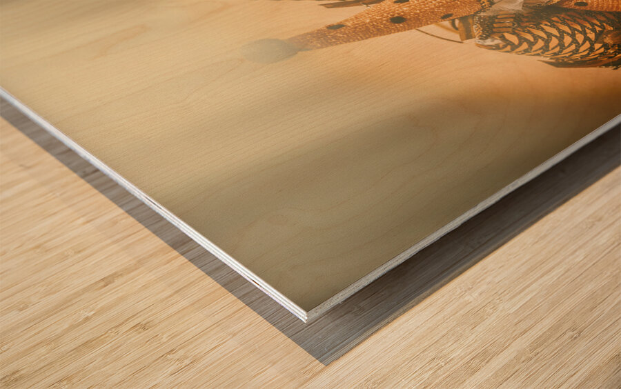 Circus stage spotlight Wood print