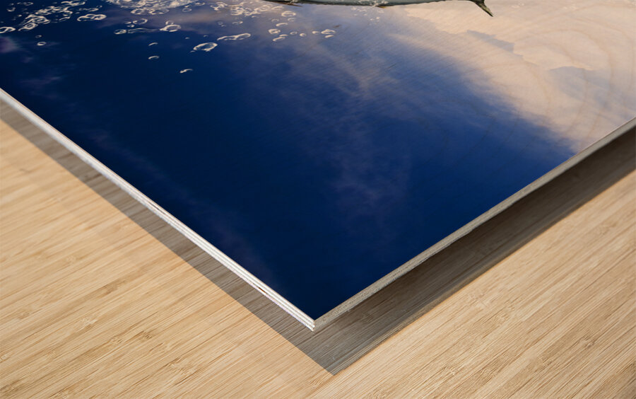 Tropical Sea Escape Wood print