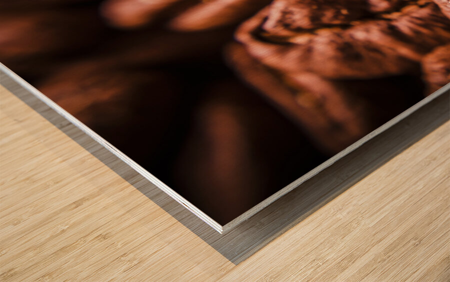 Roasted coffee bean macro Wood print