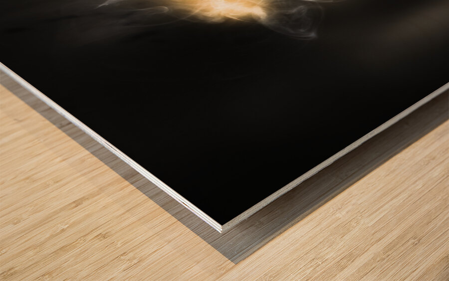 War on information Wood print