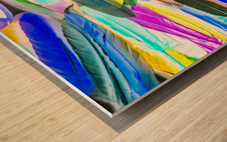 Color Novella Wood print